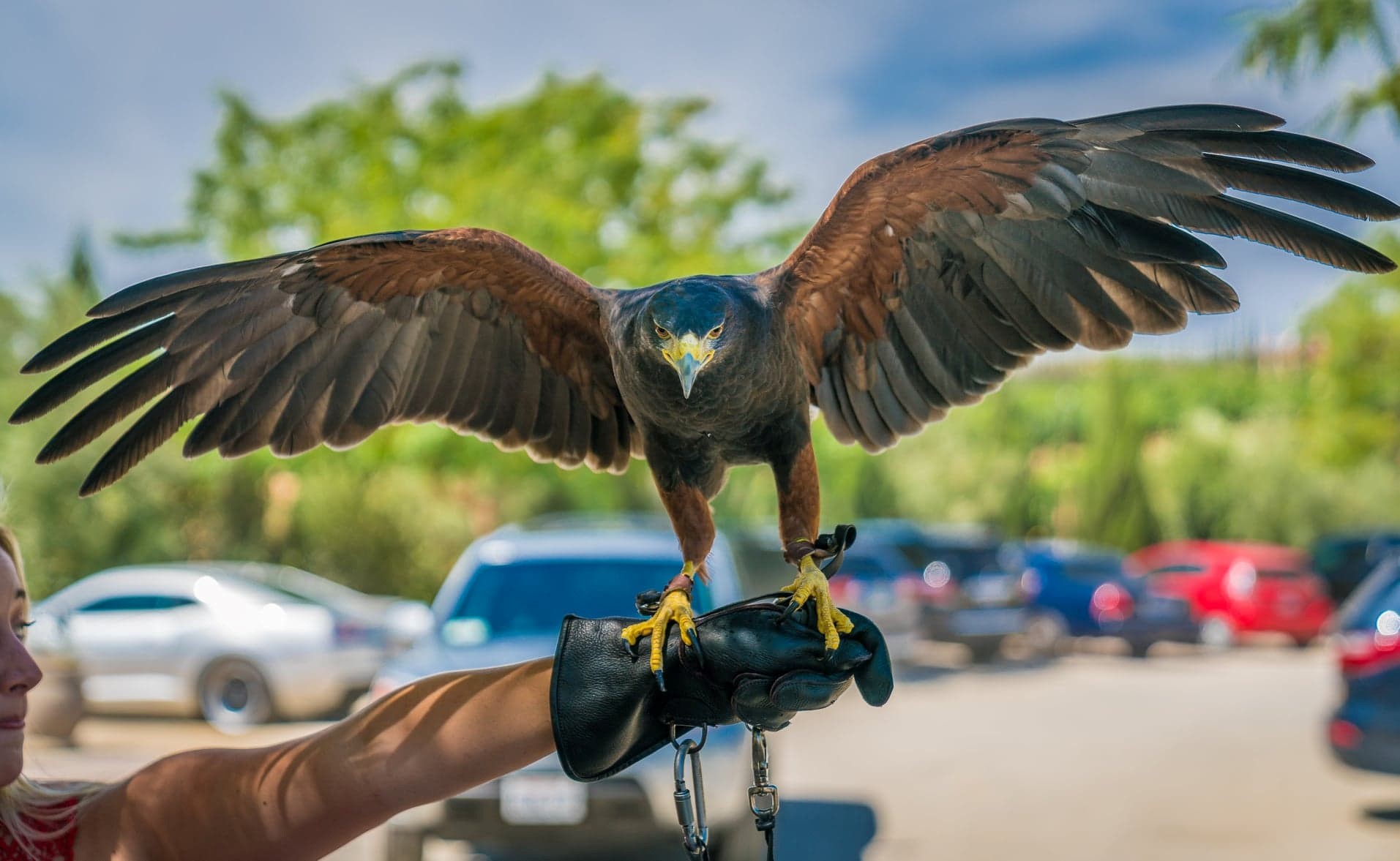 Compliments of Jimmy Fu https://jimmyfu.zenfolio.com/